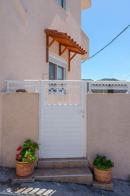 Rosa 'S House Apartment Palekastro Exterior photo